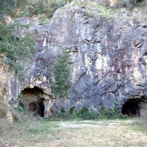 Entrades Coves